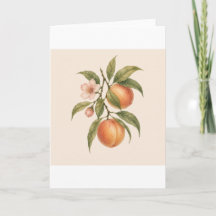 Sweet as a Peach | Vintage Peach Botanical Design