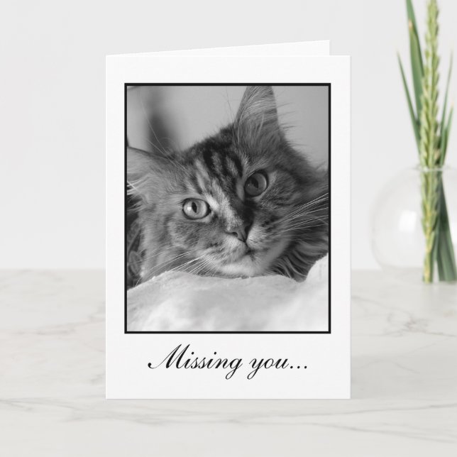Cartão Sweet black and white photo of tabby cat (Frente)