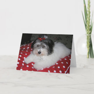 CARTÃO SWEET BROOKLYN NOTE CARDS