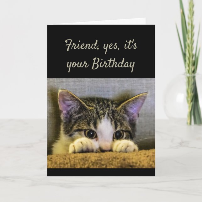Cartão Sweet Kind Caring Friend Birthday Cute Kitten (Frente)
