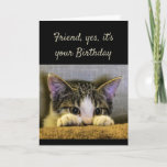 Cartão Sweet Kind Caring Friend Birthday Cute Kitten<br><div class="desc">Friend,  It's your Birthday Friends as sweet kind and caring as you are hard to find.  I'm so glad we found each other.   Have a Happy Birthday!   Cute kitten looking out.</div>