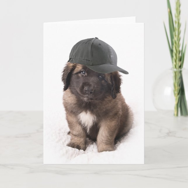 Cartão Sweet Leonberger dog puppy with a cap (Frente)