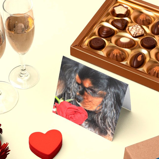 Cartão Sweet Love Cavalier King Charles Spaniel (Criador carregado)