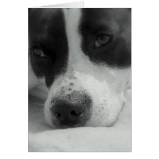 Cartão Sweet Maggie