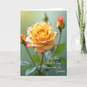 Cartão Sweet Mothers Rose Bloom