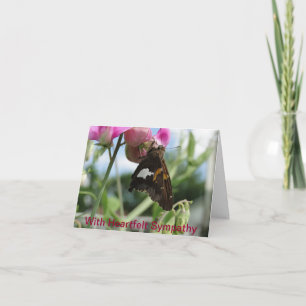 Cartão Sweet Pea & Red Admiral, Sympathy