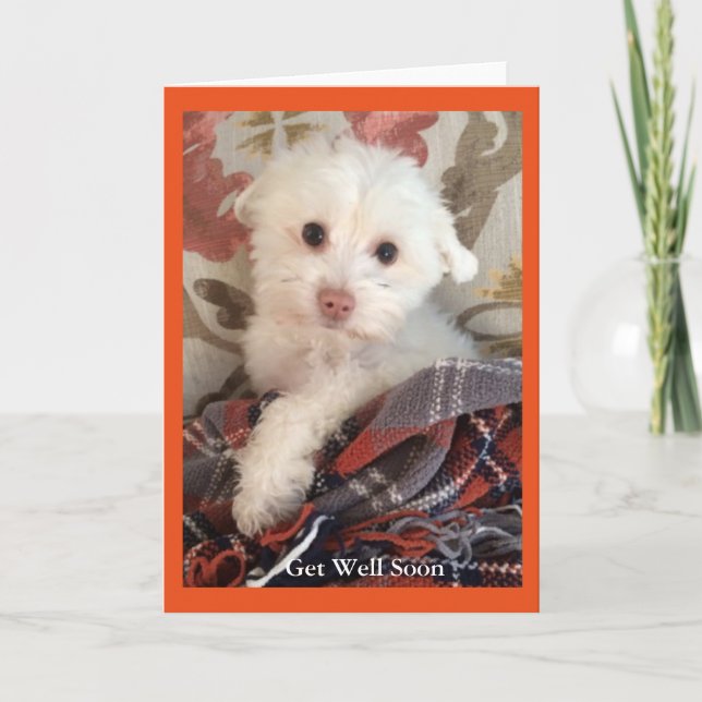 Cartão Sweet puppy wrapped in a blanket Get Well Card (Frente)