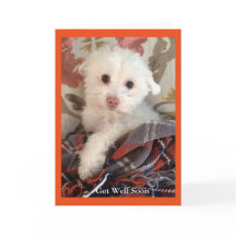 Sweet puppy wrapped in a blanket Get Well Card