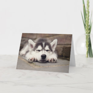 Cartão Sweet Siberian Husky Puppy Sleeping