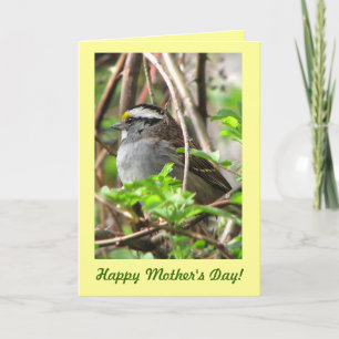 Cartão Sweet Sparrow para Dia de as mães