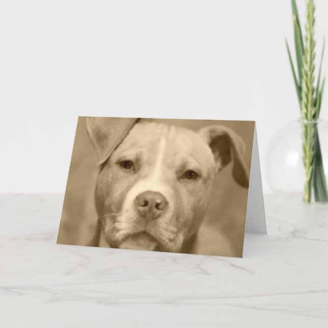 Cartão Sweet Staffie Face Greeting Card (Frente)