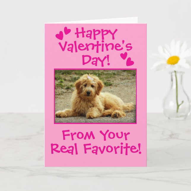Cartão Sweet Valentine's Day From The Dog Photo Card (Planta pequena)