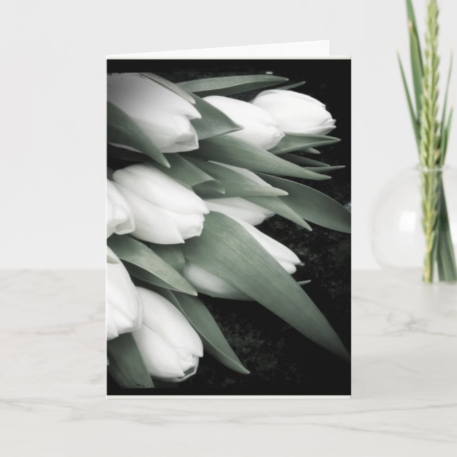 Cartão Sweet White Tulip Blank Greeting Card (Frente)