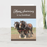 Sweetheart Birthday HORSE Team