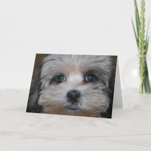 Cartão Sweetness personified