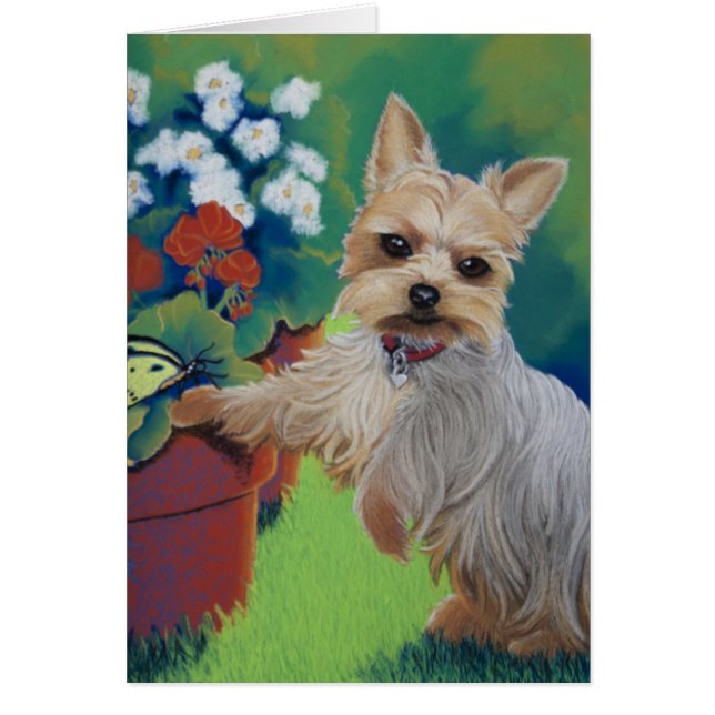 Cartão Sweetness Yorkie (Frente)