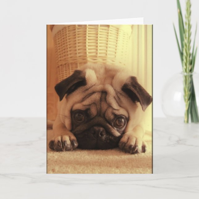 Cartão SweetPea Pugs Greeting Card (Frente)