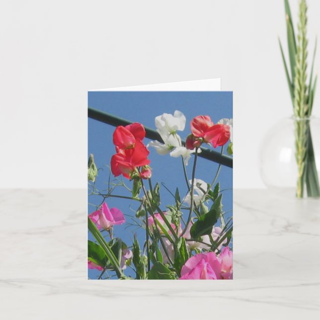 Cartão Sweetpeas Note Card (Frente)