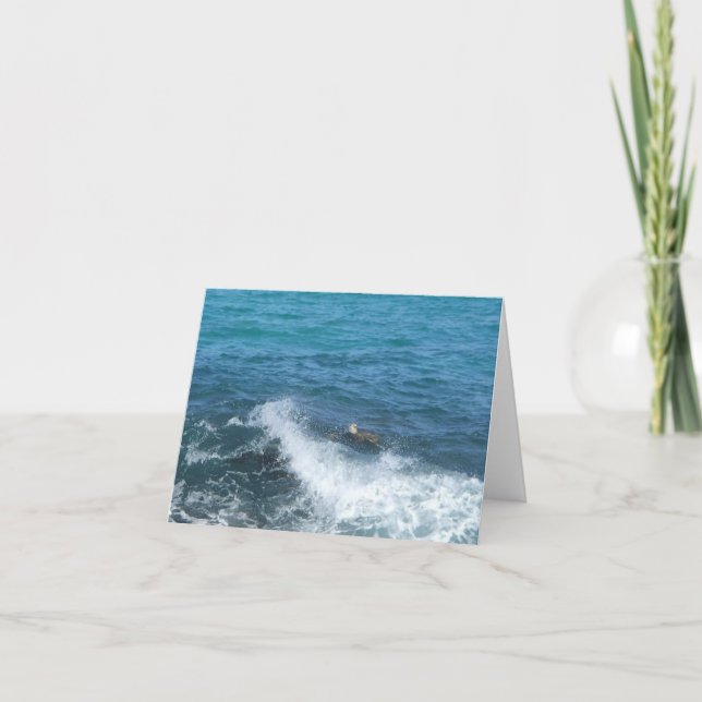 Cartão swimming turtle notecard (blank inside) (Frente)