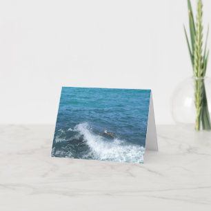 Cartão swimming turtle notecard (encouragement)
