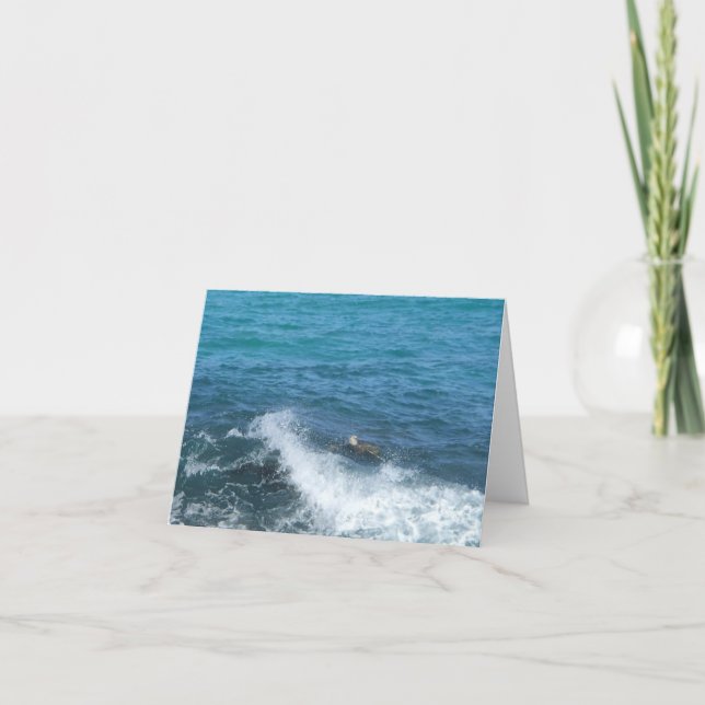 Cartão swimming turtle notecard (encouragement) (Frente)