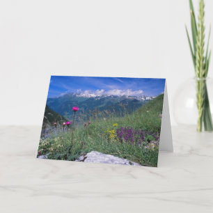 Cartão Swiss Alps card