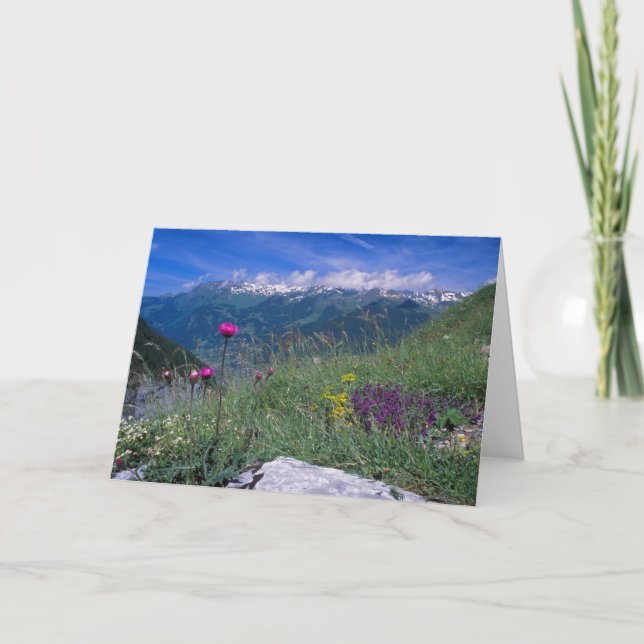 Cartão Swiss Alps card (Frente)