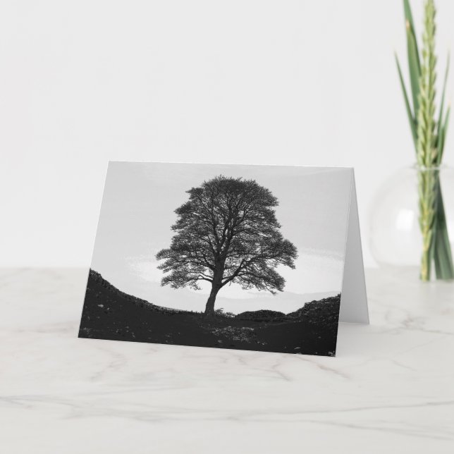 Cartão Sycamore Gap Greeting Card (Frente)