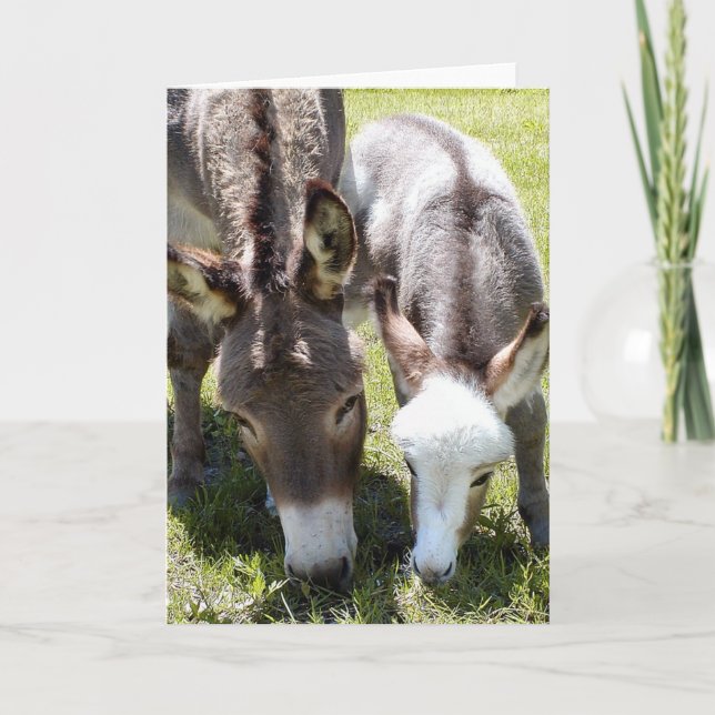 Cartão Sylvia & Mr. T (Frente)