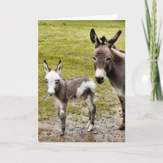 Cartão Sylvia & Mr. T