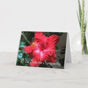 Cartão Sympathy Card