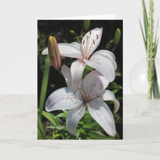 Cartão Sympathy Card