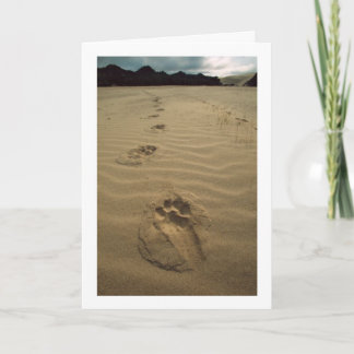 Cartão Sympathy Card