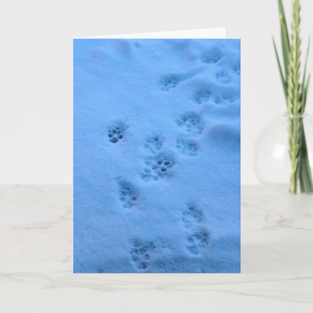Cartão Sympathy card for a pet (Frente)