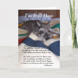 Cartão Sympathy Card for Loss of Pet