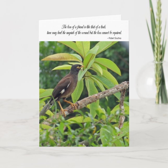 Cartão Sympathy card - Loss of a friend (Frente)