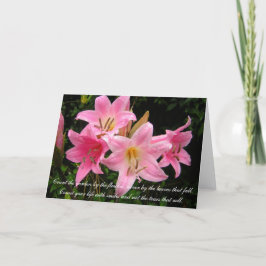 Cartão Sympathy Card - Pink Lilies