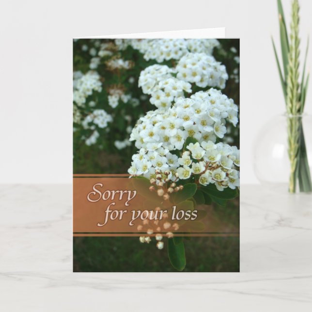 Cartão Sympathy card - Sorry for your loss (Frente)