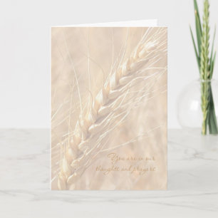 Cartão Sympathy Card / Wheat Sympathy Card