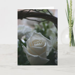 Cartão Sympathy Card white rose unique greeting cards