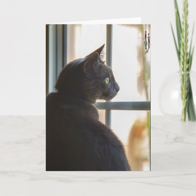 Cartão Sympathy for loss of pet greeting card blank (Frente)