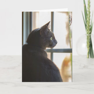 Cartão Sympathy for loss of pet greeting card blank