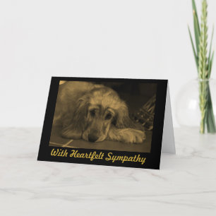 Cartão Sympathy Golden Retriever