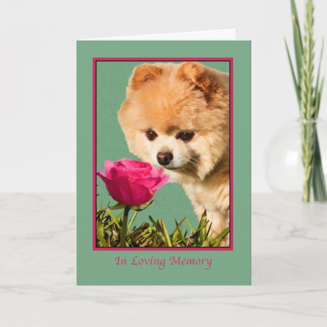Cartão Sympathy, Pet, Pomeranian Dog and Rose Card (Frente)