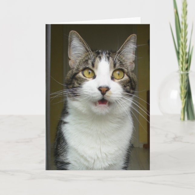 Cartão Syrus Shocked Greeting Card 0001 (Frente)