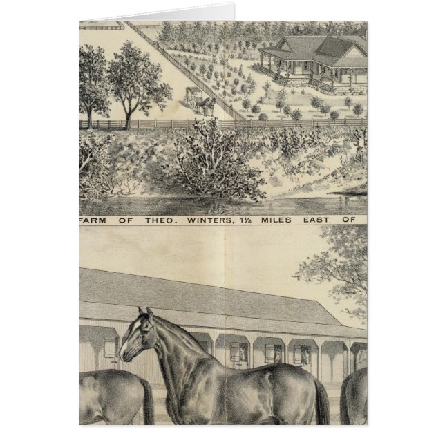 Cartão T fazenda Winters (Frente)