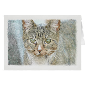 Cartão Tabby Cat