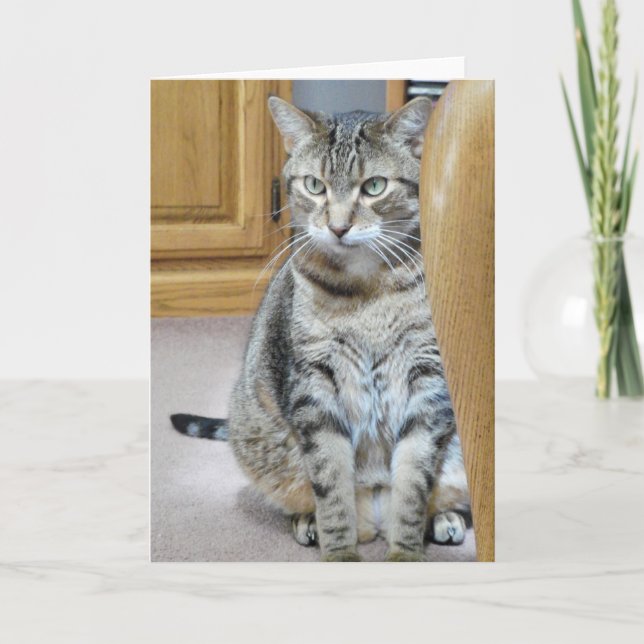 Cartão Tabby Cat (Frente)
