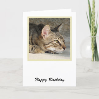 Cartão Tabby Cat Birthday Card