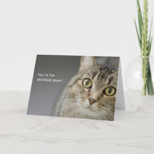Cartão Tabby Cat Birthday Card por Foco para uma Causa
